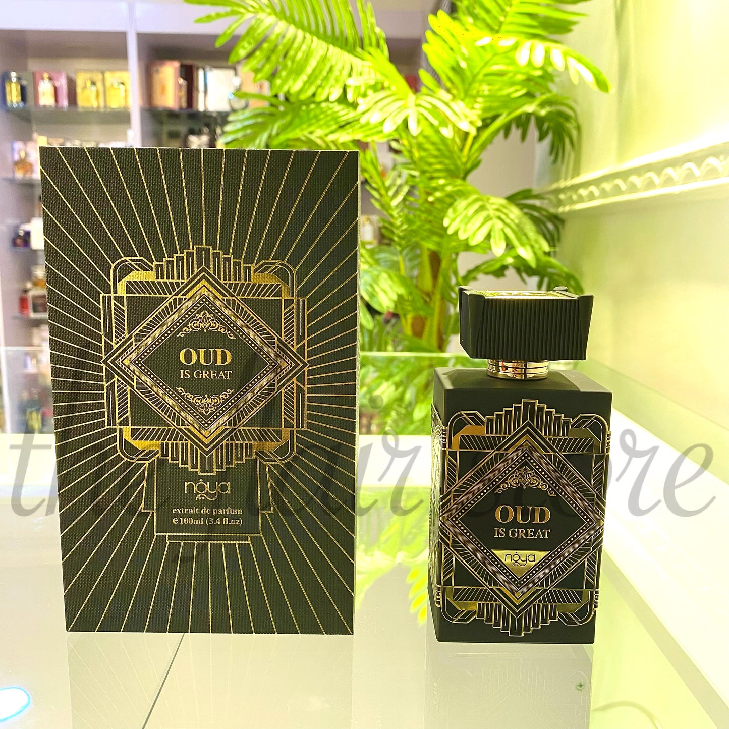 NOYA OUD IS GREAT 100ml EDP