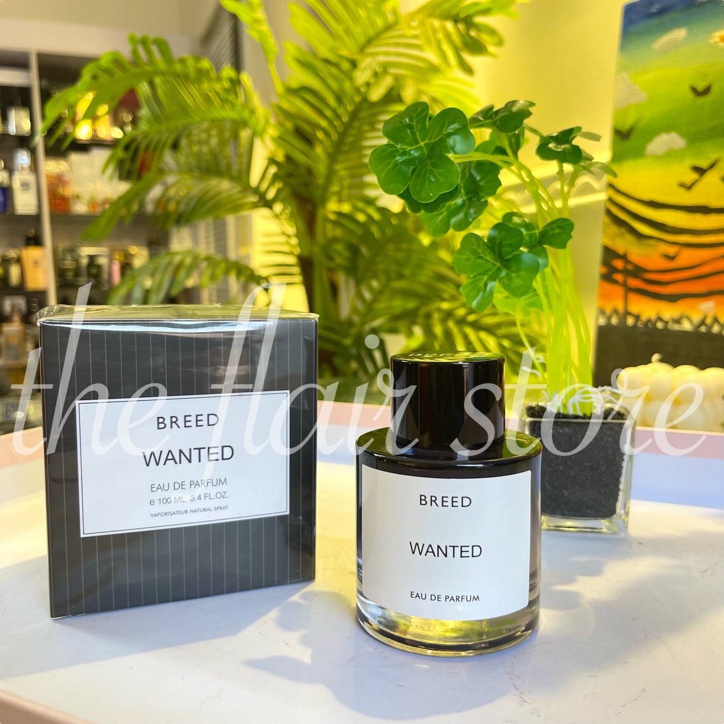 BREED WANTED 100ml EDP